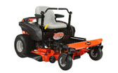 ARIENS