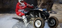 New ATVs